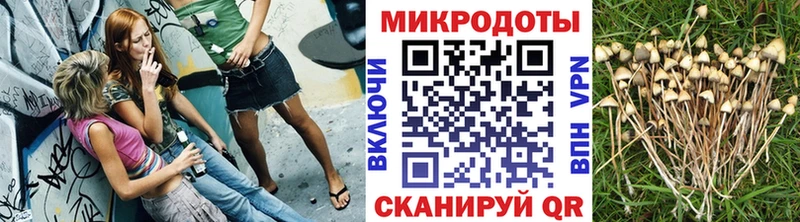 Псилоцибиновые грибы Cubensis blacksprut зеркало Болхов где купить наркотик